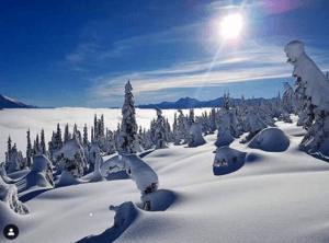 Winter wonderland near Peaks Lodge in Revelstoke, BC
