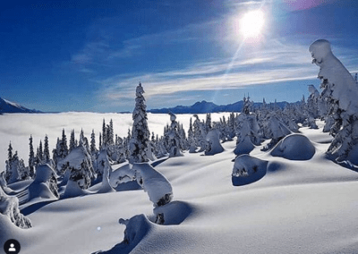 Winter wonderland near Peaks Lodge in Revelstoke, BC